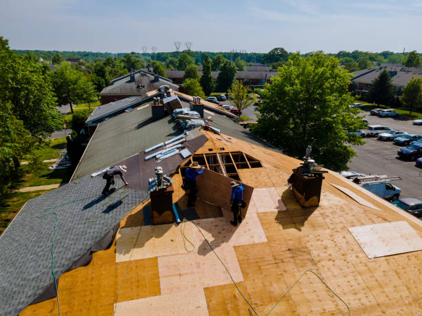 Trusted Roof Replacement service in Issue, MD - Brentwood Metal Roofing